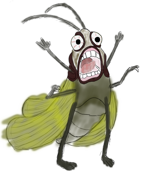 File:Moth.png